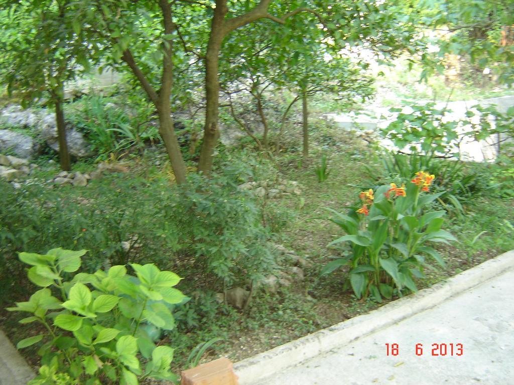 Apartments Dobrisa Κότορ Εξωτερικό φωτογραφία